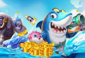 Bwin体育2024最新版