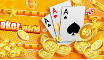 Bwin体育2024最新版